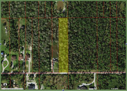 291 47rd Ave. NE, Naples, FL 34120 